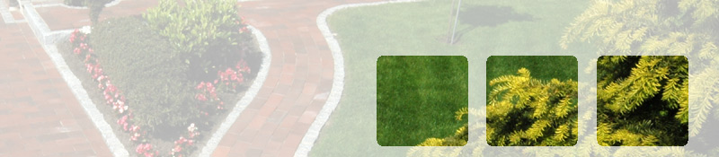 Garten Bremen Kopfgrafik